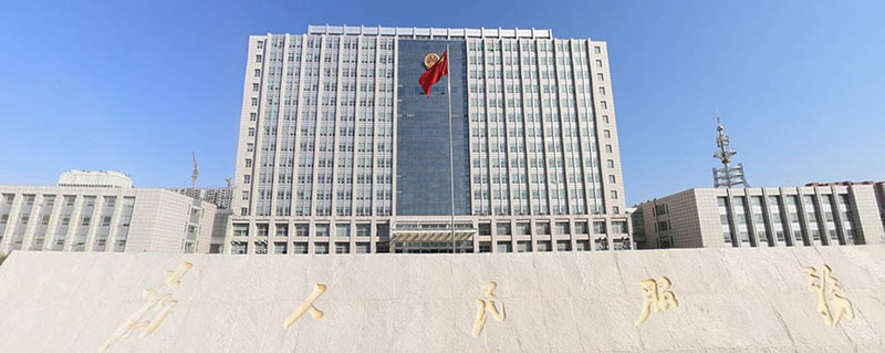 Government-Application-Case-(2)